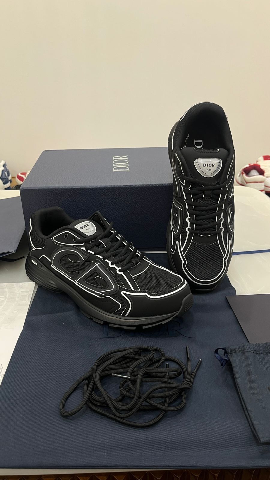 Dior B30 sneakers