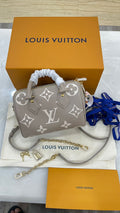Louis Vuitton Speedy Bandoulière 20 bag