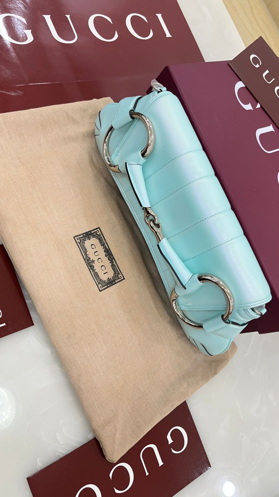 Light blue Gucci Horsebit Chain shoulder bag