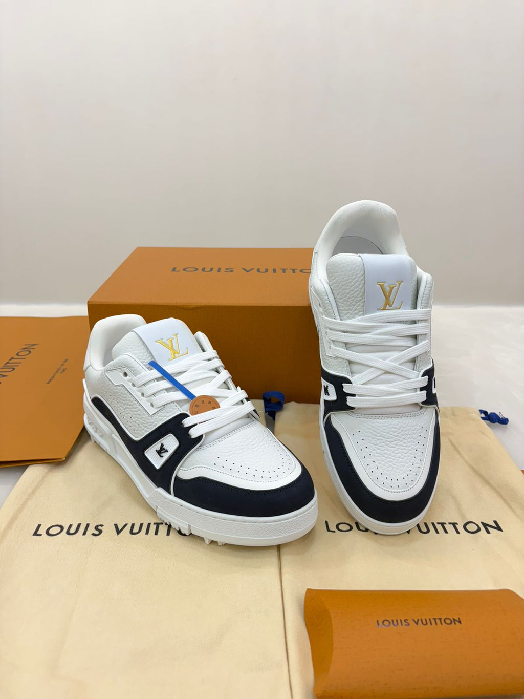 Louis Vuitton LV Traine